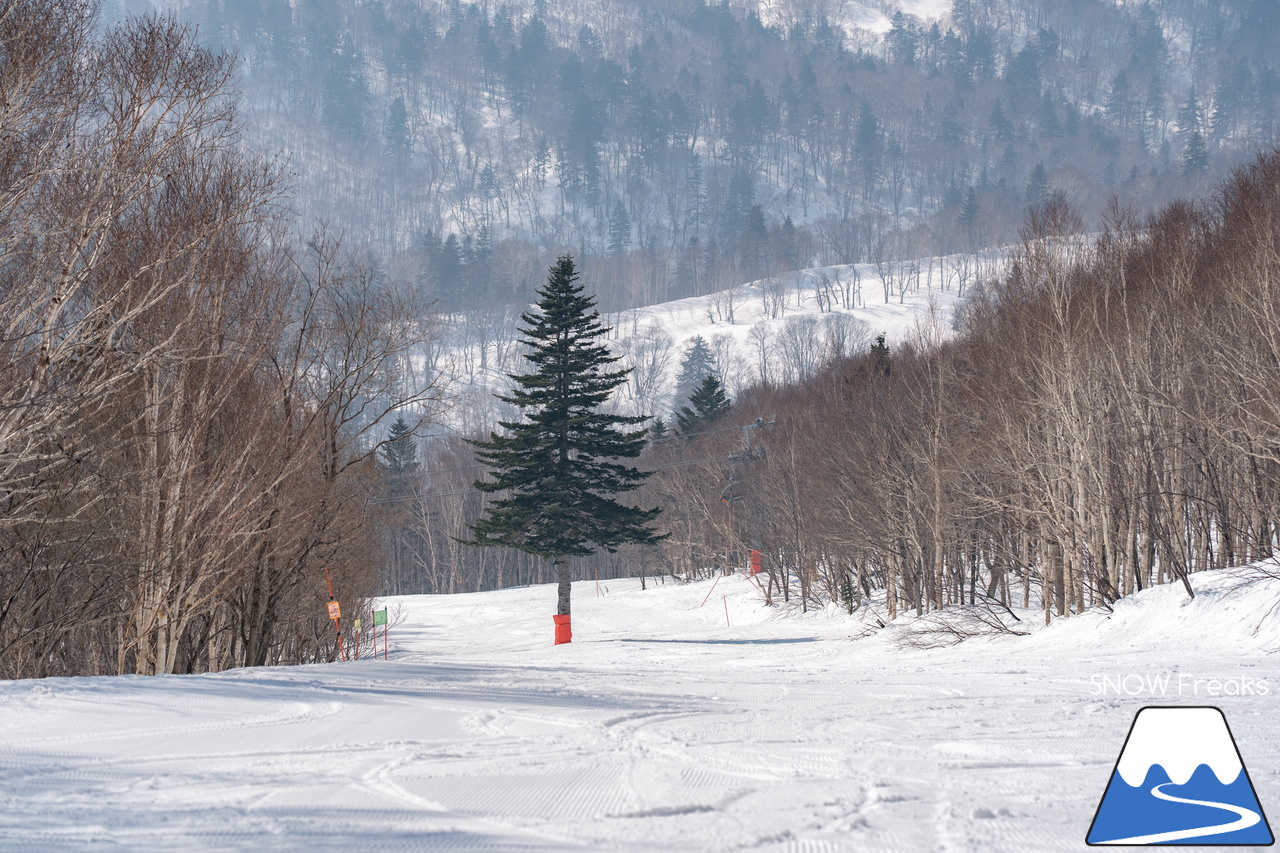 札幌国際スキー場｜さすが『KOKUSAI』！春シーズンも安泰の豊富な積雪で、まだまだ余裕で全面滑走可能です(^^)v